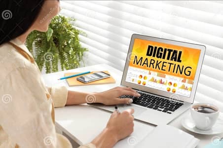 SEO Executive