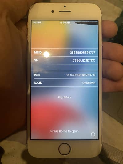 Apple iPhone 6S
