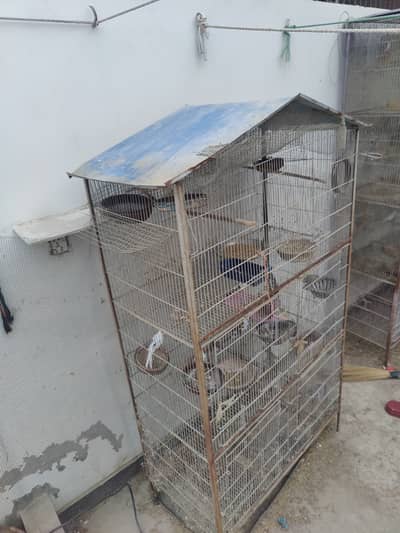 5 portion cage