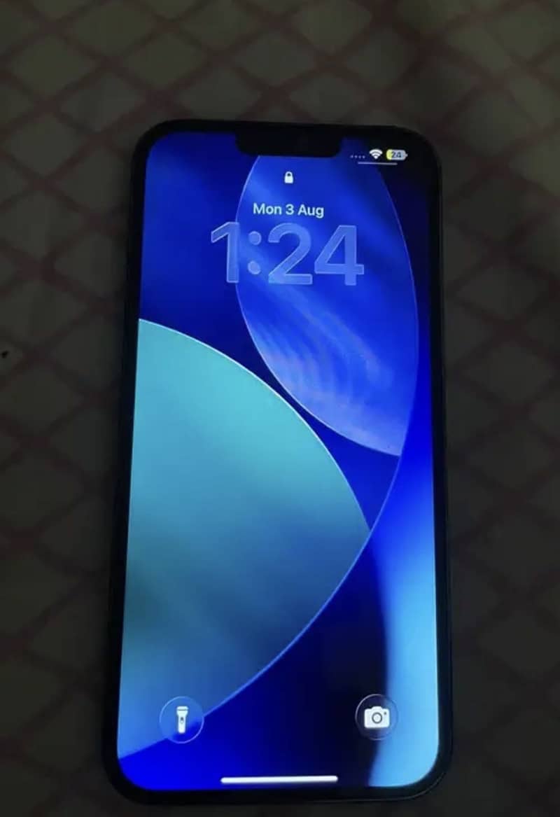 Apple iPhone 13 Pro Max 1