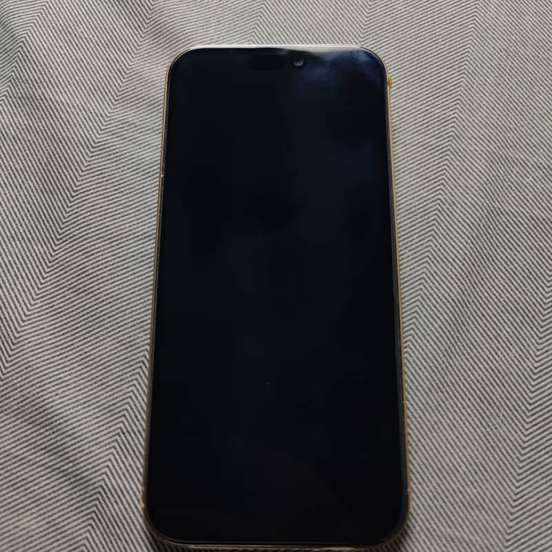 Apple iPhone 16 Pro Max 1