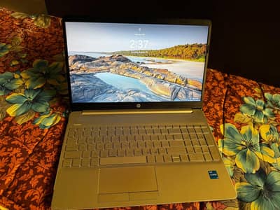 HP ProBook 32GB RAM i5 11th Gen OLED 477gb SSD