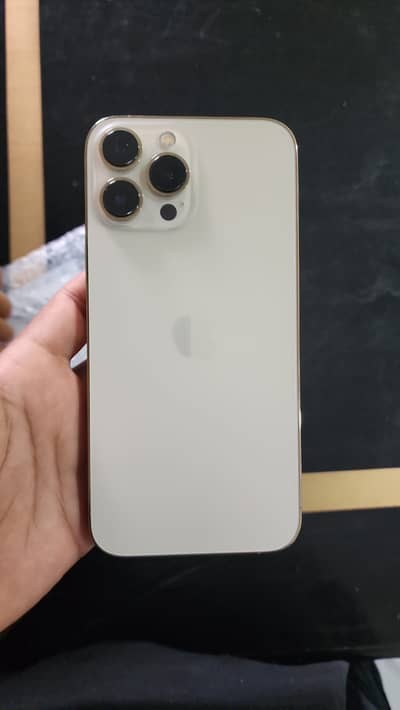 Apple iPhone 13 Pro Max