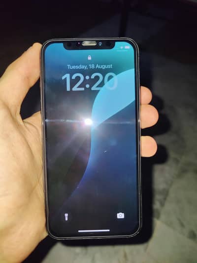 Apple iPhone XS 256 factory unlocked