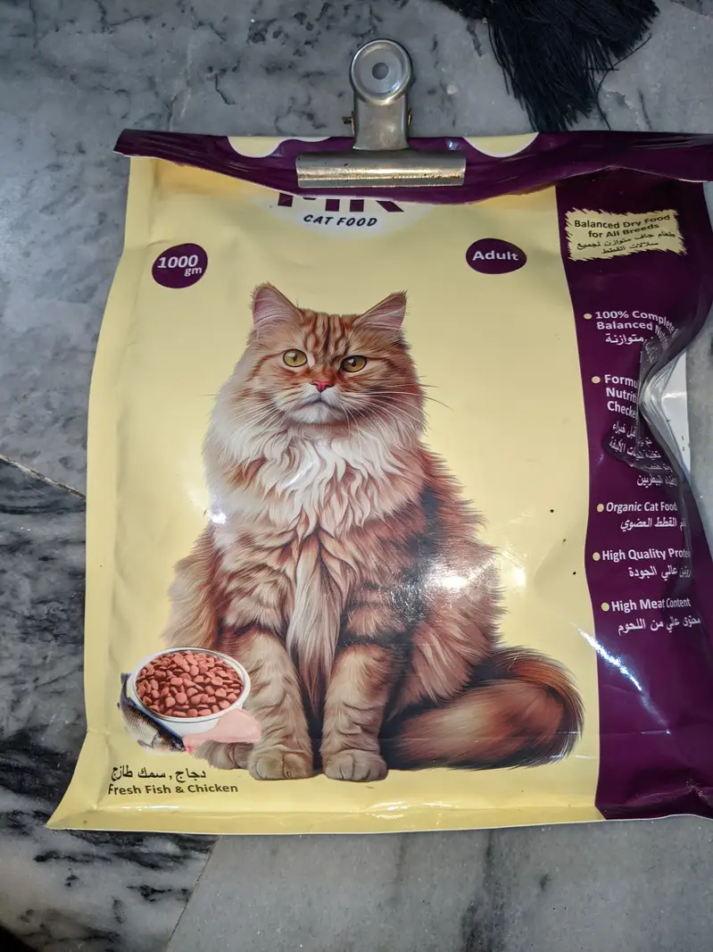 Long hair Grey Cat — photo 5