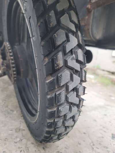 panther 8 ply heavy tyre ideal for touring or local use