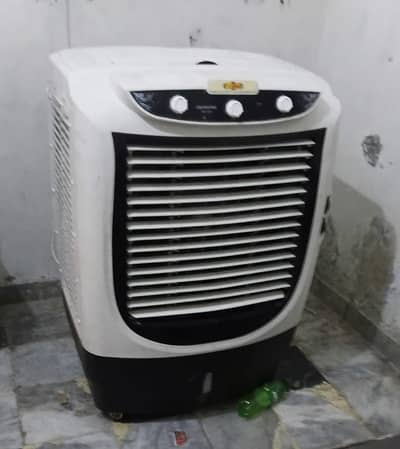 Electric Cooler for Sale-32000-(03364032901)