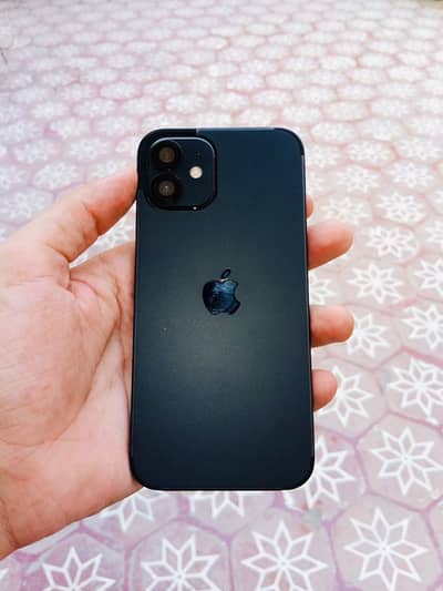 Apple iPhone 12