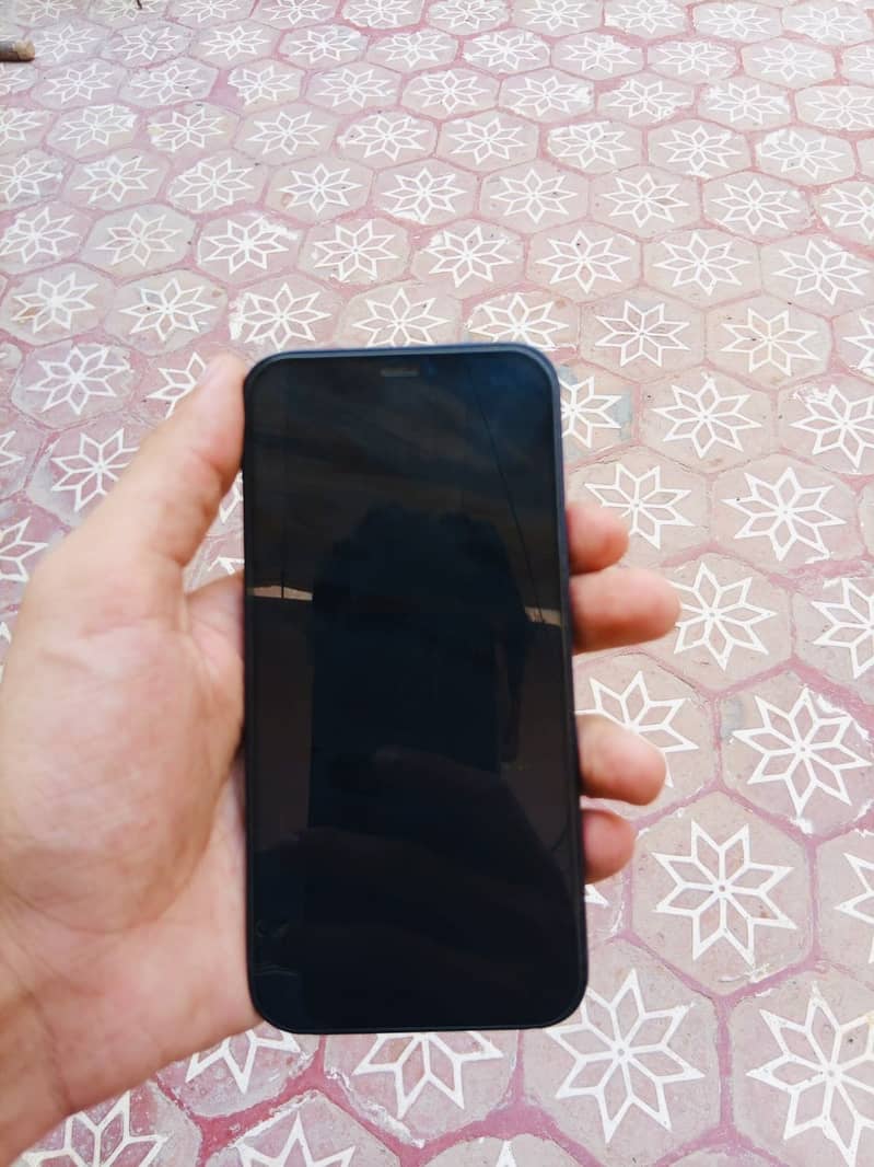 Apple iPhone 12 1