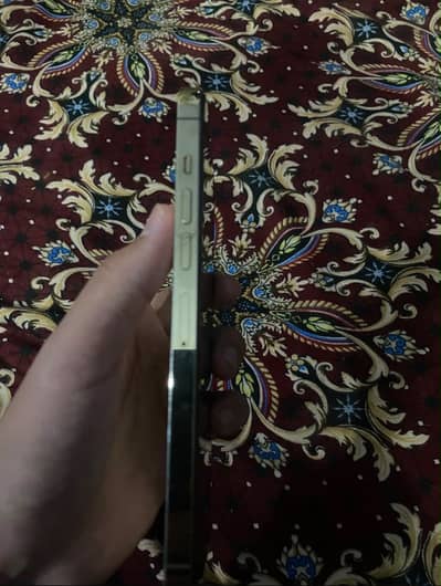 Apple iPhone 13 Pro Max Jv Back Crack