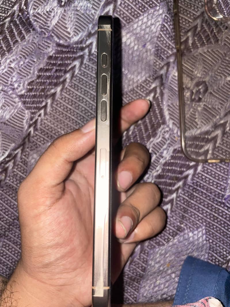 Apple iPhone 16 Pro Max 4