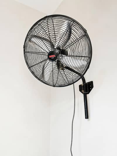 Royal Fan
