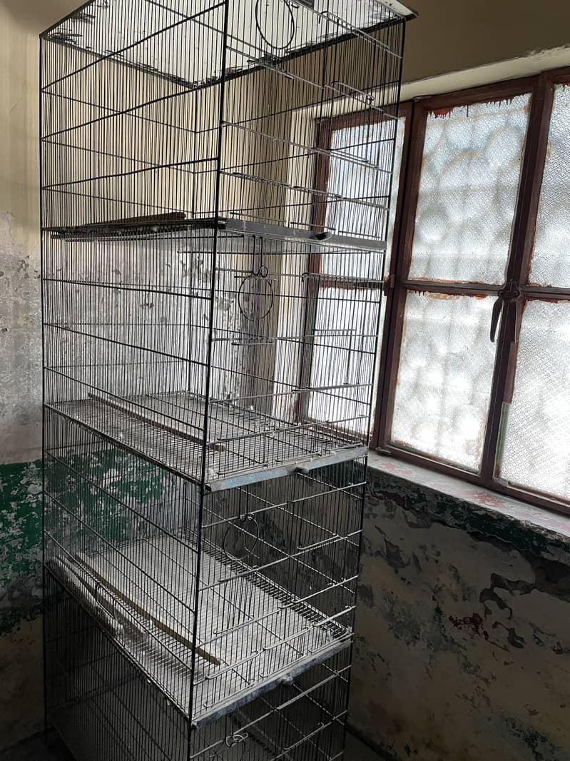 Parrot cage 1