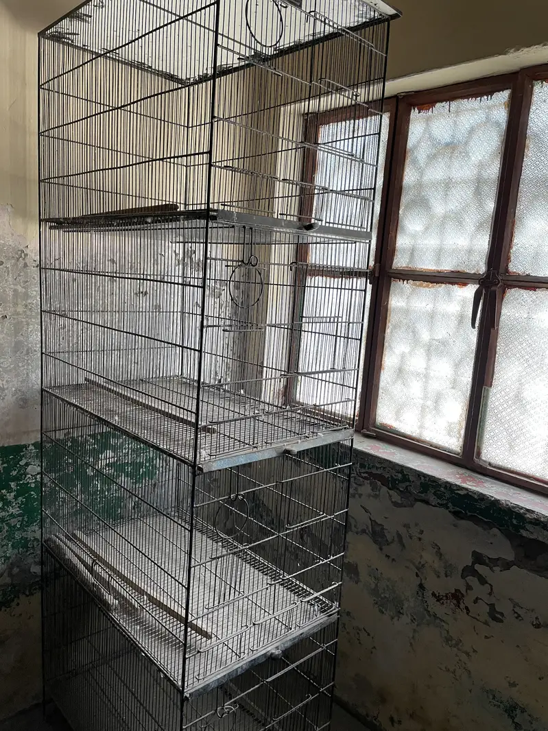 Parrot cage — photo 2