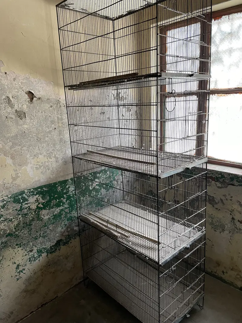 Parrot cage — photo 3