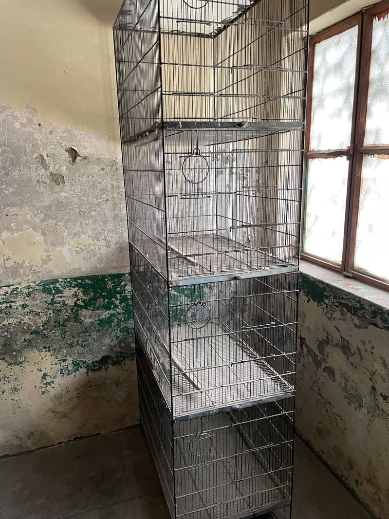 Parrot cage 3