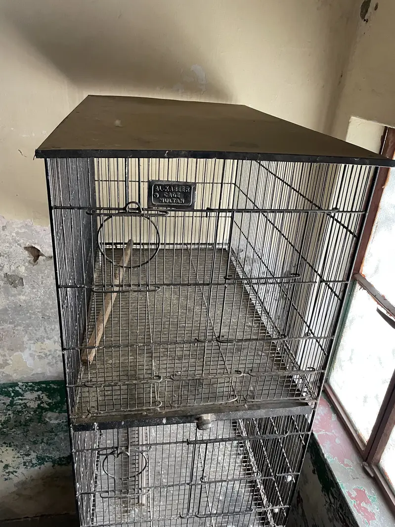 Parrot cage — photo 5