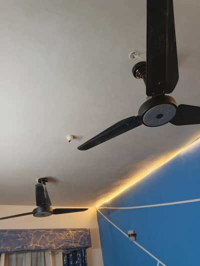 3 Sk Ceiling Fans