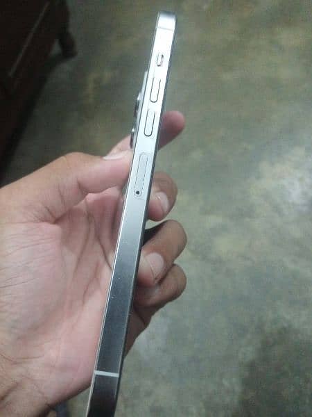 iPhone 13 pro max 1