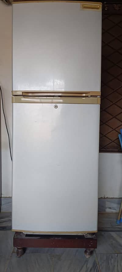 fridge+supply+chowki complete package