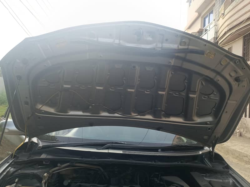 fresh car 5