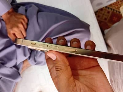 Iphone 13 pro max PTA Approved
