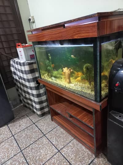 Fish Aquarium with Fishes And All accessories