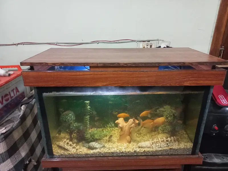 Fish Aquarium with Fishes And All accessories — photo 12