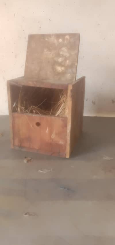 finch box