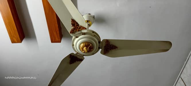 pak fan