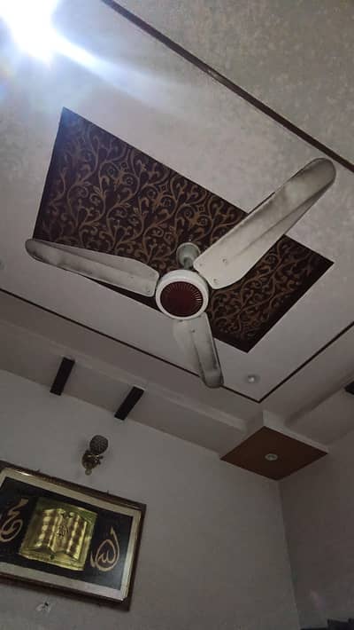 Cream plus dark brown fan