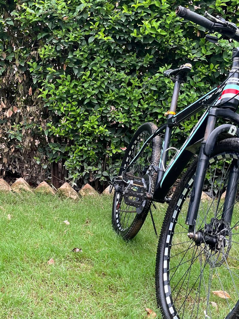 bicycle 2