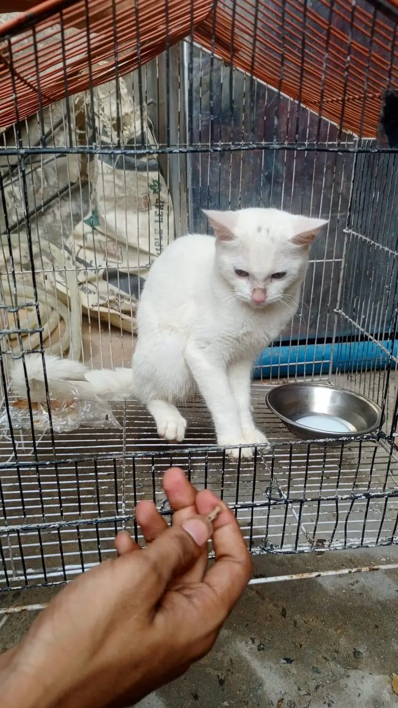 Russian Billa white clour — photo 3
