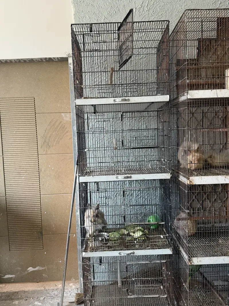 4 potion cages — photo 2