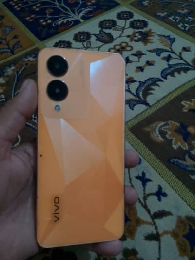 Vivo Y17s