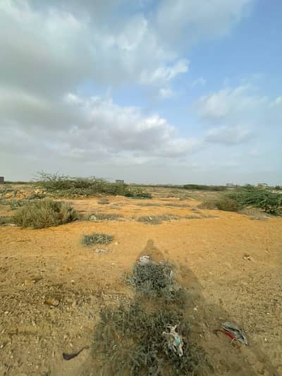 64 Sq. Yards Plot For Sale Sector 11-D, Surjani Town