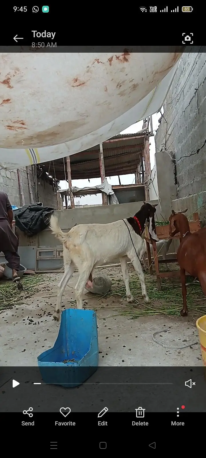 dono bkri h — photo 4