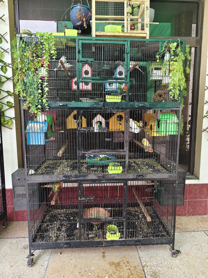 reliable costumer only please — photo 4