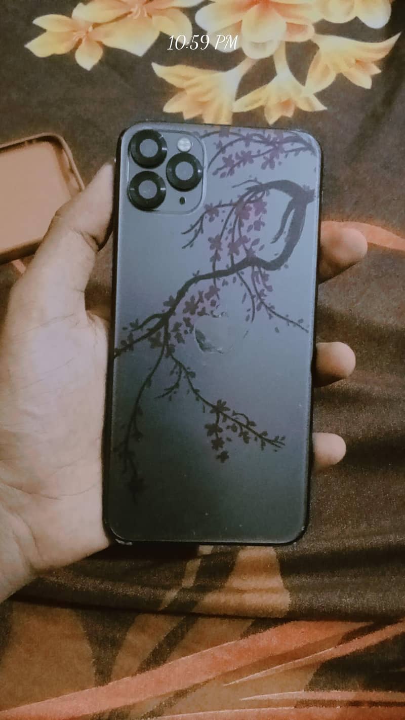 Apple iPhone 11 Pro Max 1
