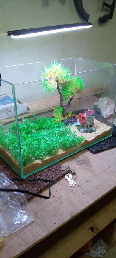 small aquarium