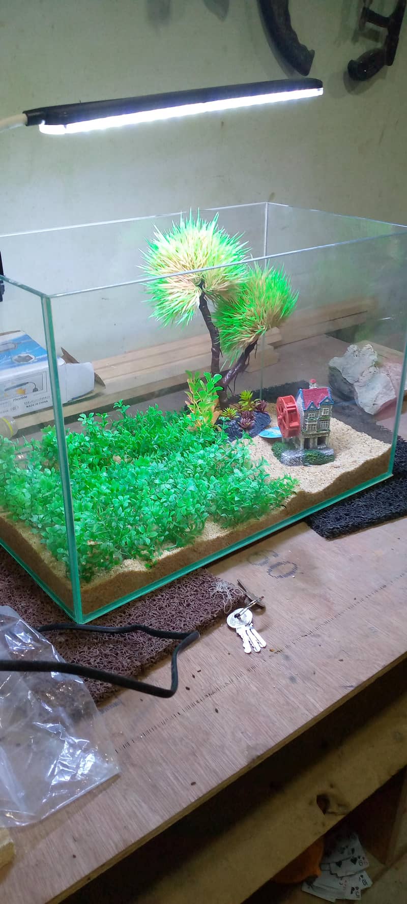 small aquarium 0