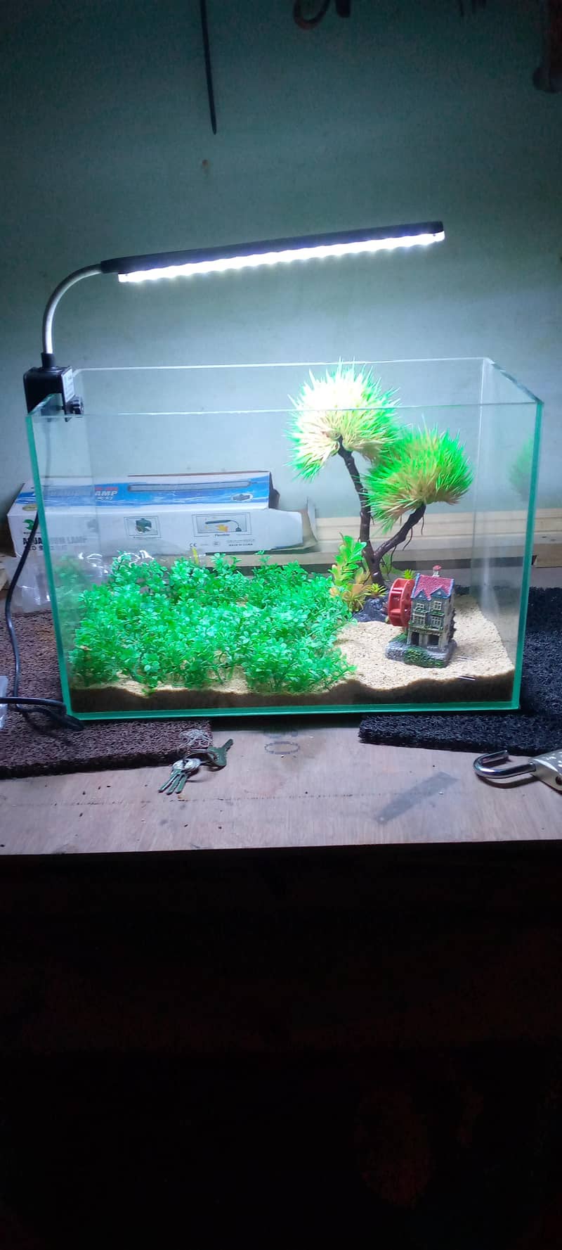 small aquarium 1