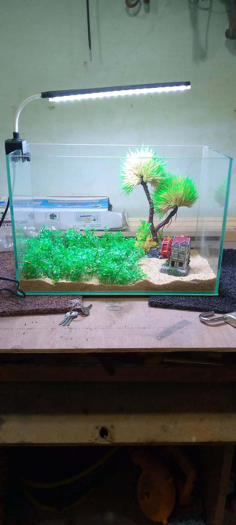 small aquarium 2
