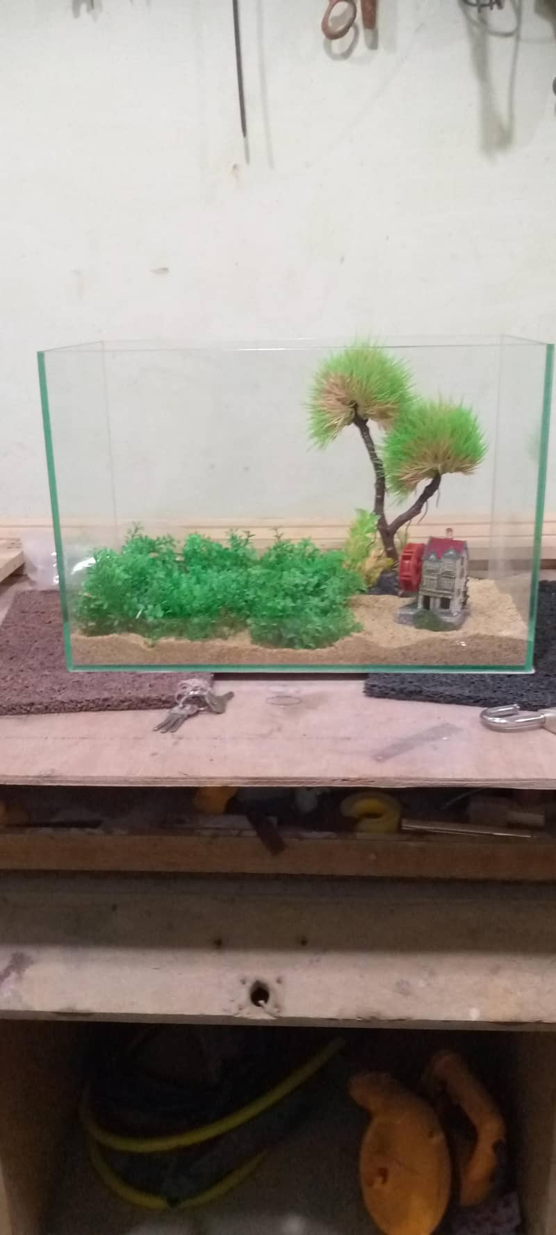 small aquarium 3