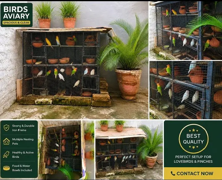 PREMIUM AVIARY CAGE FOR URGENT SALE. . .