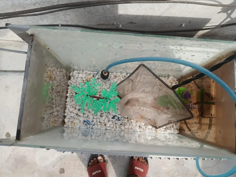 fish  aquarium for sale