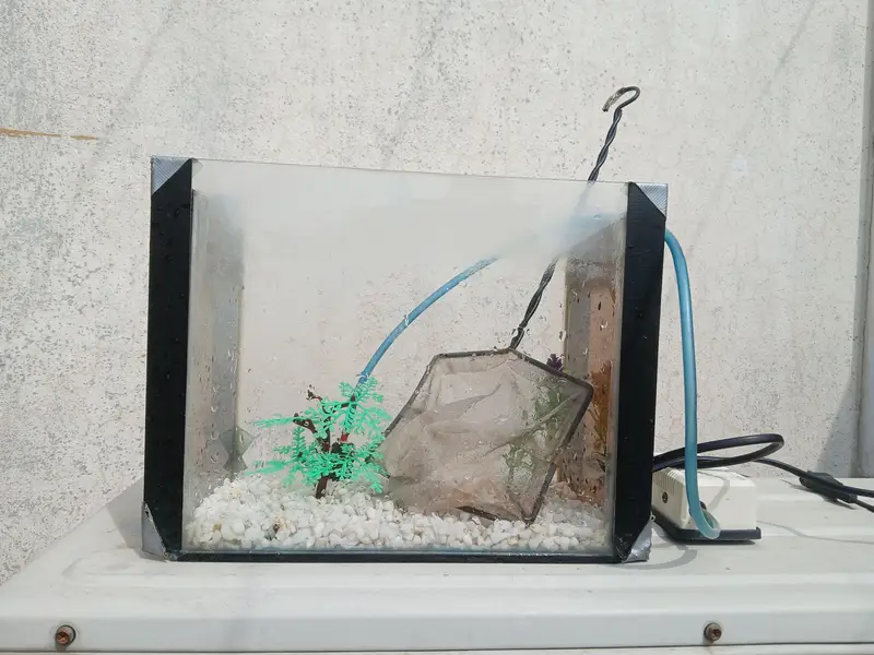 fish  aquarium for sale — photo 2