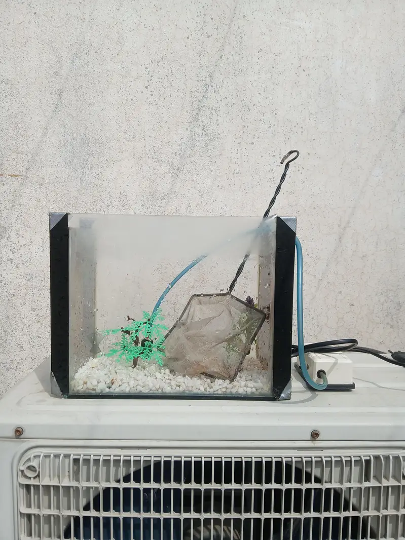 fish  aquarium for sale — photo 3