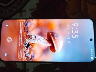 Tecno Other Model spark 40 pro plus