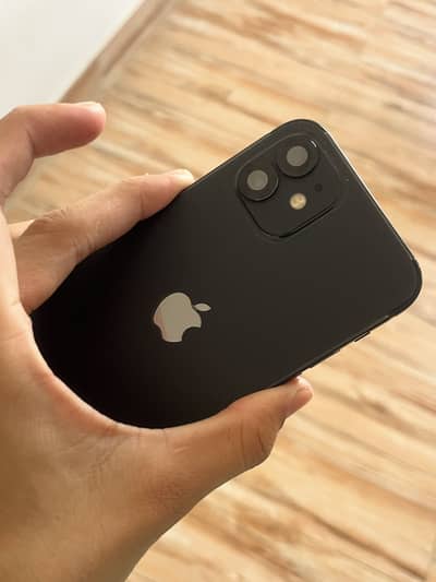 iPhone 12 jv